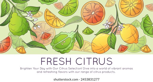Vector backdrop with citrus pattern. Illustration of lemon, bergamot, orange. Background for poster, banner, card, flyer, discount. Fruit market concept.	