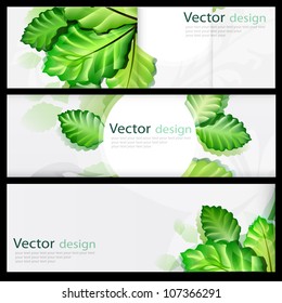 Vector Background
