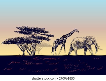 Vector background of the African landscape