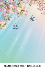 Vector background with Apple blossom. Blooming tree branch in spring and flying birds