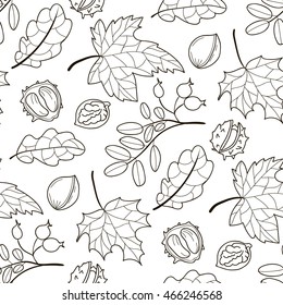 vector / background / apple / maple / autumn / leaves / pecan / white background