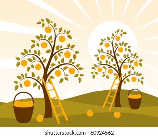 vector background with apple trees and baskets of apples