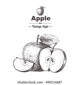 Vector background with apples . Hand drawn. Vintage style