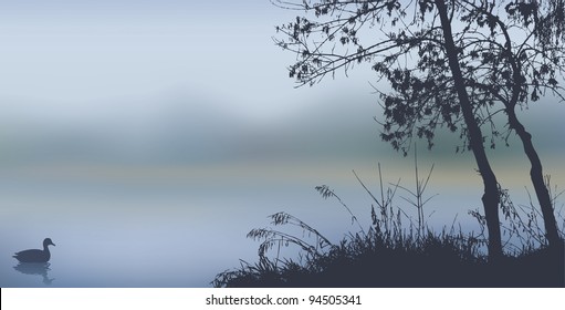 Vector background. Autumn landscape with trees and reeds near the misty lake with a floating duck