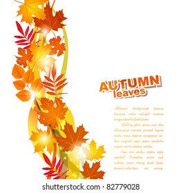 fondo vectorial con hojas de otoño