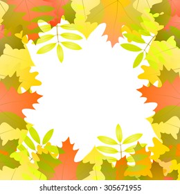 Vector background with autumn leaves around white space, in red, green, white and orange color