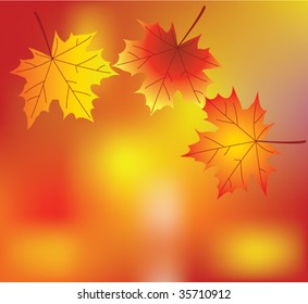 vector background of autumn leaves in a forest