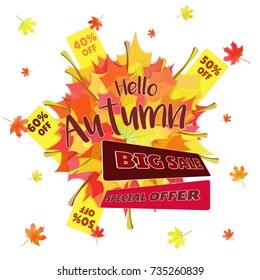 Vector background with autumn sale with maple leaves.
