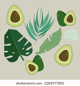 Vector background of avocado and tropical leaves.