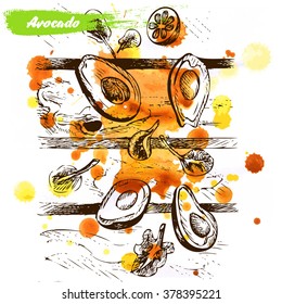 Vector background avocado, watercolor