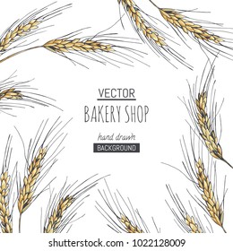 Vector background for bakery design. Hand drawn illustration with wheat ears isolated on white.  Border with spikelets of cereal plants in sketch style