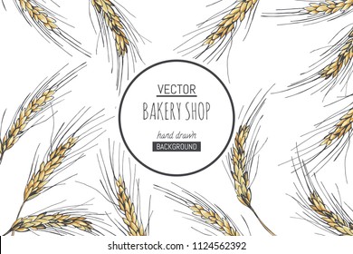 Vector background for bakery design. Hand drawn illustration with wheat ears isolated on white.  Border with spikelets of cereal plants in sketch style.