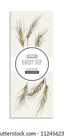 Vector background for bakery design. Hand drawn illustration with wheat ears isolated on white.  Border with spikelets of cereal plants in sketch style.