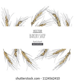 Vector background for bakery design. Hand drawn illustration with wheat ears isolated on white.  Border with spikelets of cereal plants in sketch style.