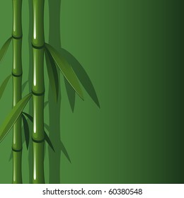 Vector background with bamboo
