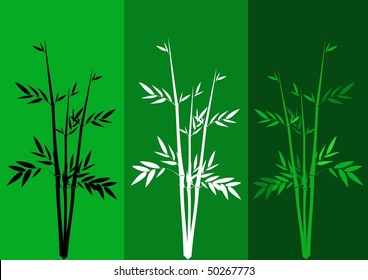 Vector background with the bamboo image