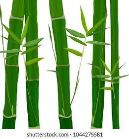 Vector background with bamboo stems