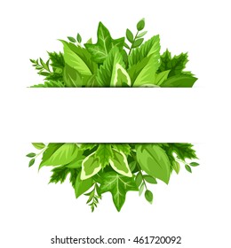 Vector background banner with green leaves.