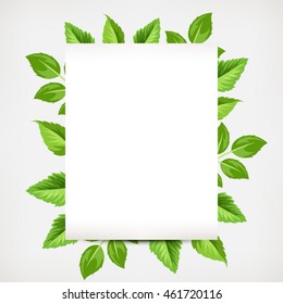 Vector background banner with green leaves.