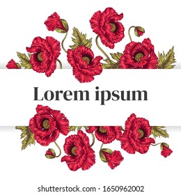 Pancarta de fondo vectorial con amapolas rojas.