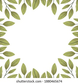Vector background with bay leaves; for greeting cards, invitations, packaging, posters, banners.