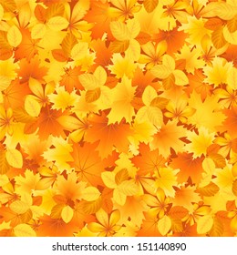 Vector the background of the beautiful autumn leaves