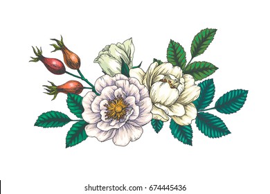 Vector background with beautiful bouquet. Vintage botanical hand drawn illustration of hip rose. Wild briar flowers and leaves. Wedding design. Engraving style. Color floral pattern