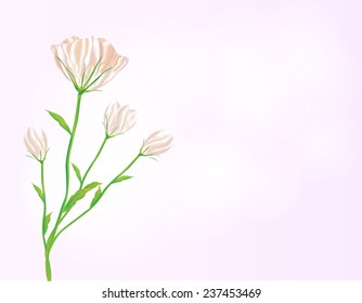 VECTOR background with beautiful flower design