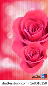 vector background with beautiful pink rose/ business brochure/ Abstract background EPS10