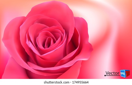 vector background with beautiful pink rose/ business brochure/ Abstract background EPS10