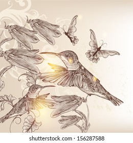 Vector background with birds and butterflies in vintage style for design