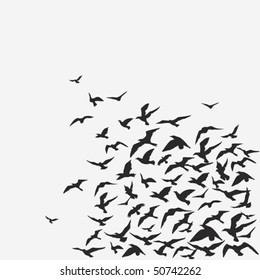 Vector background of a birds' flock