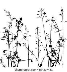 vector background with black wild plants silhouettes at white background, floral illustration
