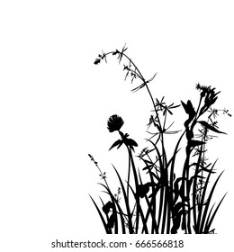vector background with black wild plants silhouettes at white background, floral illustration