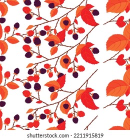 Vector background of blackberry sprigs. Autumn palette. Bright background for textiles, fashion design and wallpapers, nightgowns, bed linen.