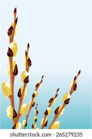 Vector background with blooming willows