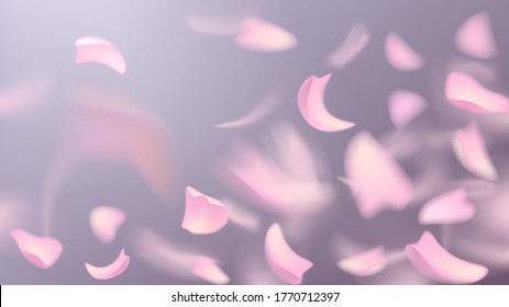 Vector background with blurry flying pink rose or sakura petals