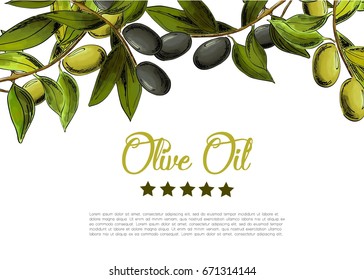 Vector background with border of black and green olives.