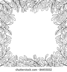 Vector background with a border of leaves of plants, contours