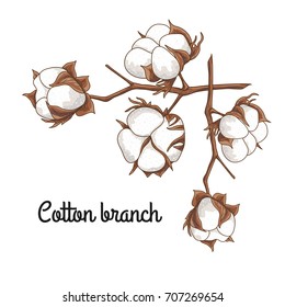 Vector background with a branch of a cotton tree