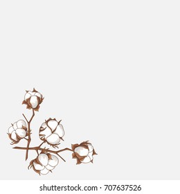 Vector background with a branch of a cotton tree