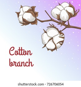 Vector background with a branch of a cotton tree