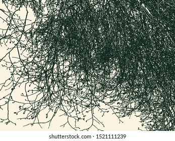 Vector background of branches of deciduous tree in cold season