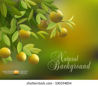 vector background with branches, leaves and lemons