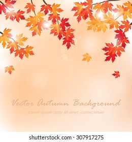 Bilder, Stockfotos und Vektorgrafiken Fall Tree | Shutterstock