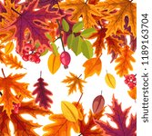 Vector background with bright autumn leaves in warm colors on a white background.