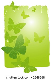 Vector Background - Butterflies