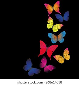 Vector background with butterflies - vector illustration