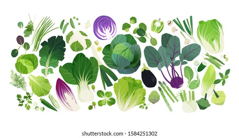 Vector background, cabbage and leafy greens clip art icons