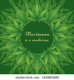 Vector background with cannabis leaves and space for text. Round golden frame and marijuana plants for your design of banner, cover and various products.